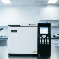 AK-GC8110气相色谱仪气相色谱实施水体中挥发性胺类组分
