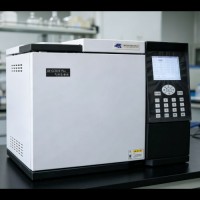 AK-GC8110PLUS气相色谱仪矿井气组分浓度